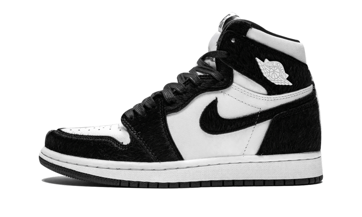 AIR JORDAN 1 RETRO HIGH OG WMNS "Twist" CD0461 007