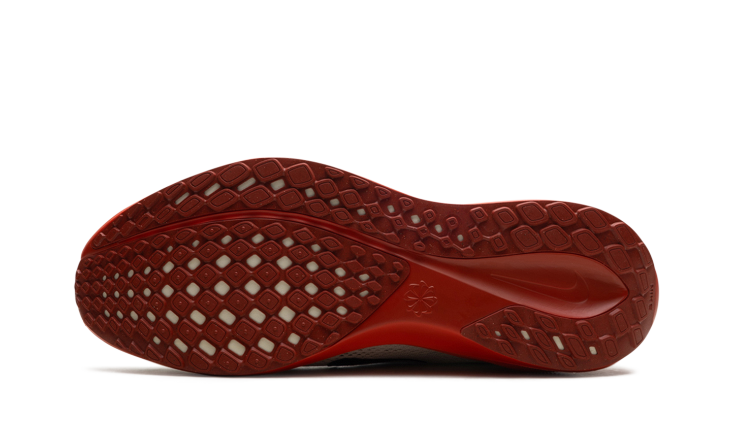 Air Zoom Pegasus 41 "Eliud Kipchoge" HJ7037 100