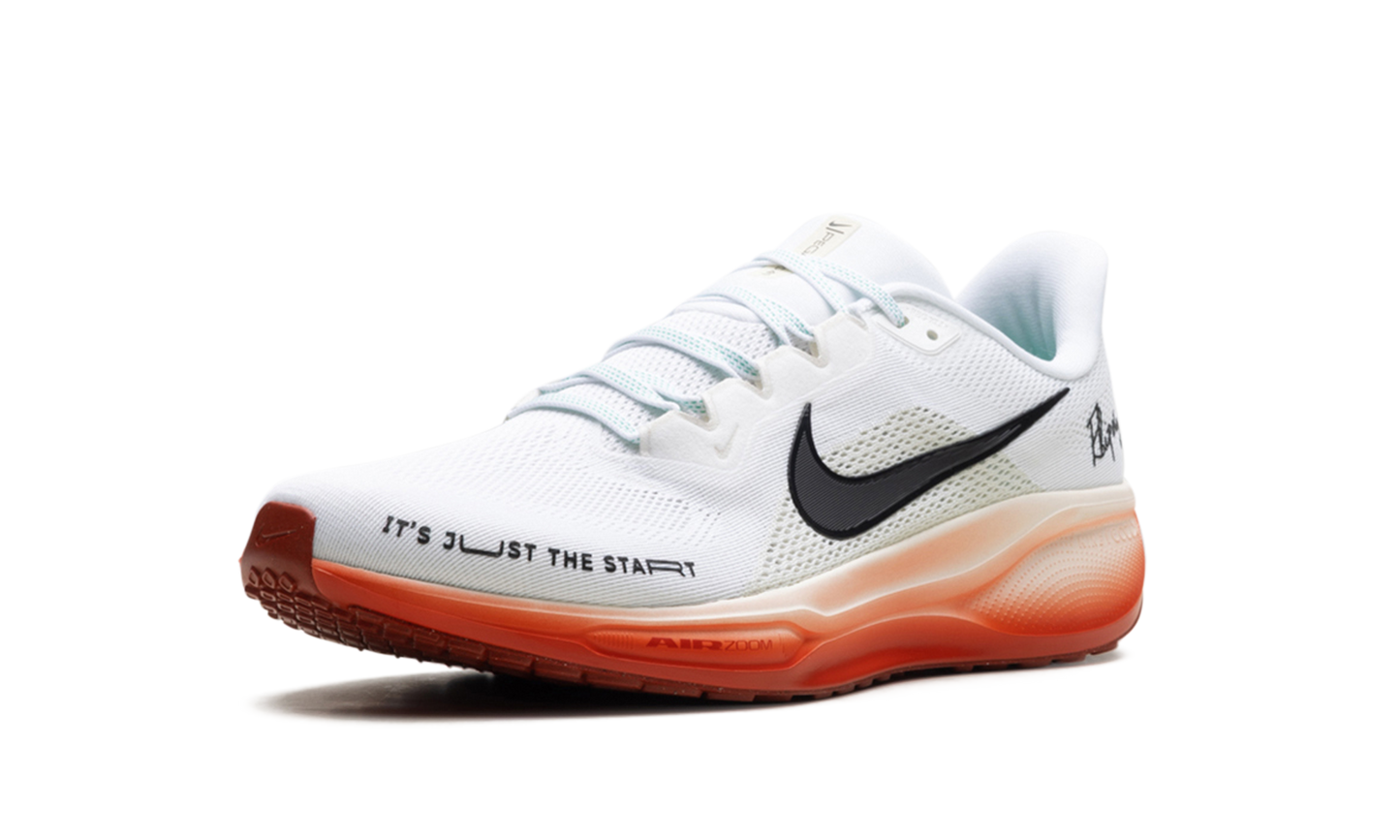 Air Zoom Pegasus 41 "Eliud Kipchoge" HJ7037 100